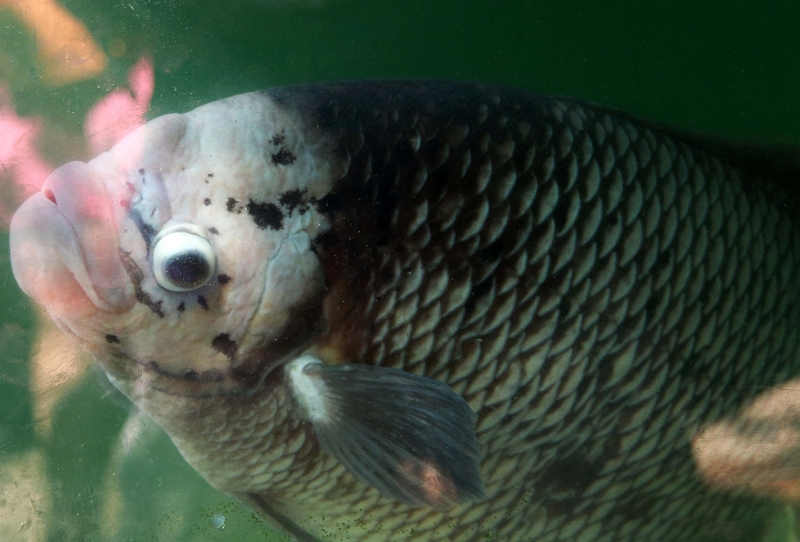 16_cai_be_fabrication artisanale_004.jpg